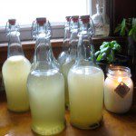 Sima Several bottles of light yellow colored brewed Sima sit on a sunny windowsill