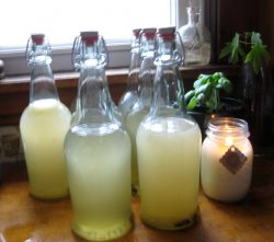 Several bottles of light yellow colored brewed Sima sit on a sunny windowsill