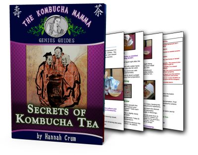 Kombucha Kamp DIY Guide Kombucha Recipe + Secrets of Kombucha Tea Free Don't miss out on this Kombucha Recipe and DIY Guide which includes an easy to follow Kombucha Tea Recipe explaining how to make kombucha tea and kombucha brewing tricks. If you want to know how to brew kombucha, these kombucha recipes will have you making kombucha tea (homemade kombucha tastes best) in no time.