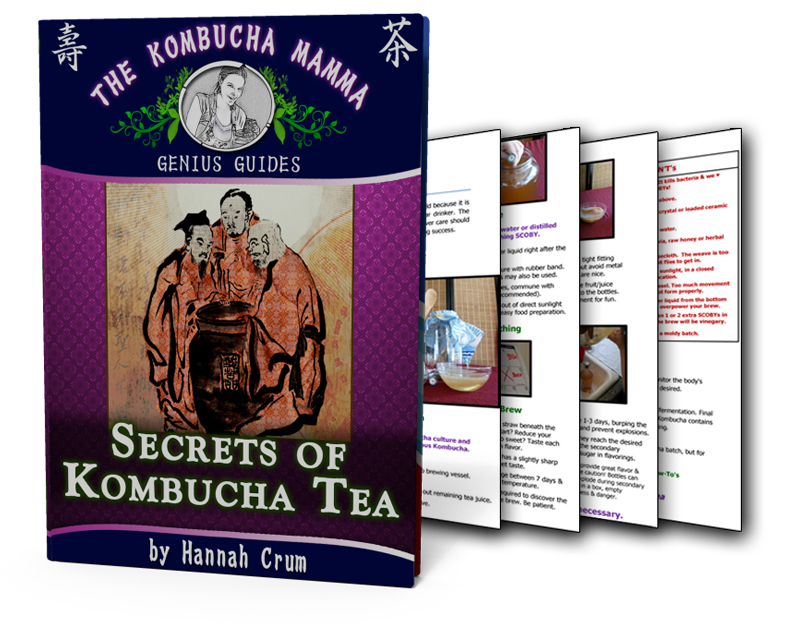 Kombucha Kamp DIY Guide + Secrets of Kombucha Tea Free Don't miss out on this Kombucha Recipe and DIY Guide which includes an easy to follow Kombucha Tea Recipe explaining how to make kombucha tea and kombucha brewing tricks. If you want to know how to brew kombucha, these kombucha recipes will have you making kombucha tea (homemade kombucha tastes best) in no time.