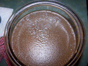 Transluscent New SCOBY Growth - Normal The SCOBY may grow transluscent at first, even bumpy or shiny, but this is normal growth.