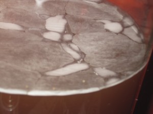 SCOBY mushroom formation - milky and uneven but not mold A milky and uneven Kombucha mushroom begins to form on the Kombucha.