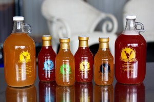 The full line of NessAlla Kombucha in 16oz and growlers