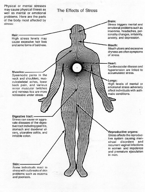 A detailed diagram shows the detrimental effects of Stress on the Body