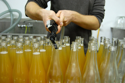Longjevitea's commercial bottling operation