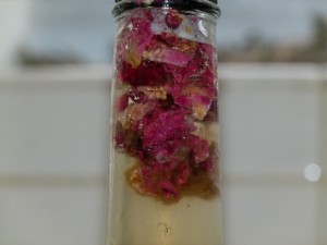 A close up of brown yeast strands mixing with rose petal flavorings in the neck of a Hannah's Homebrew Kombucha bottle. A close up of brown yeast strands mixing with rose petal flavorings in the neck of a Hannah's Homebrew Kombucha bottle.