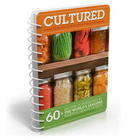 cultured fermented food recipes edited by kevin gianni featuring Hannah Crum the Kombucha Mamma