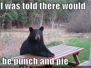 i was told there would be punch and pie bear