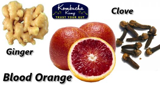 Blood Orange Kombucha Recipes with Ginger and Clove
