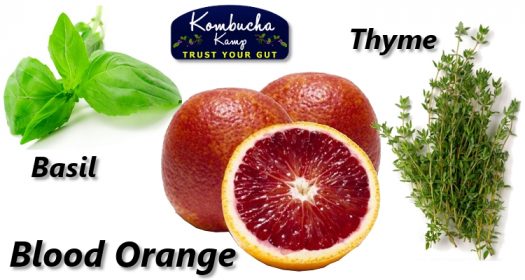 Blood Orange Kombucha Recipes with Thyme and Basil