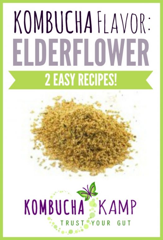 Elderflower Kombucha Recipes from Kombucha Kamp are delicious!