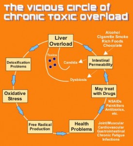 detox-chart