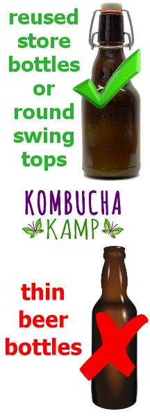 Don't make the Kombucha Brewing Mistakes many newbies do by putting fermented drinks in Beer Bottles