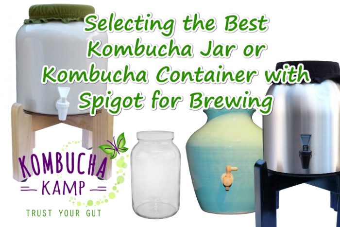 Kombucha Vessel Materials are important, click to find out how to select the best vessel