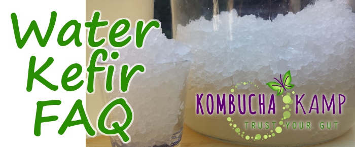 Water Kefir FAQ Frequently Asked Questions for anyone who wants to brew kefir at home