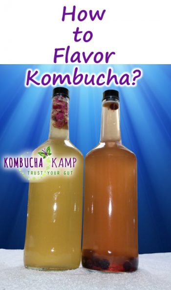 How to Flavor Kombucha Tea Tips and Video from KKamp