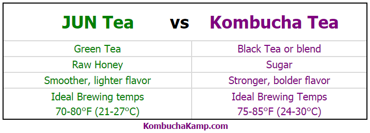 JUN Tea vs Kombucha Tea comparing and contrasting