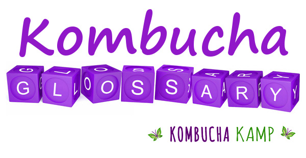 Kombucha Glossary Definitions of Terms