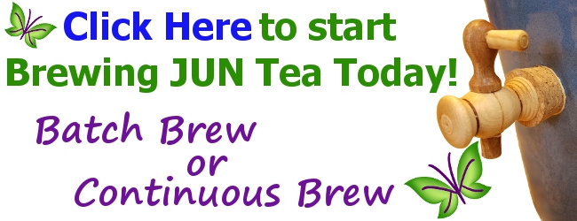 JUN Tea Batch and Continuous Brew Kits from KKamp