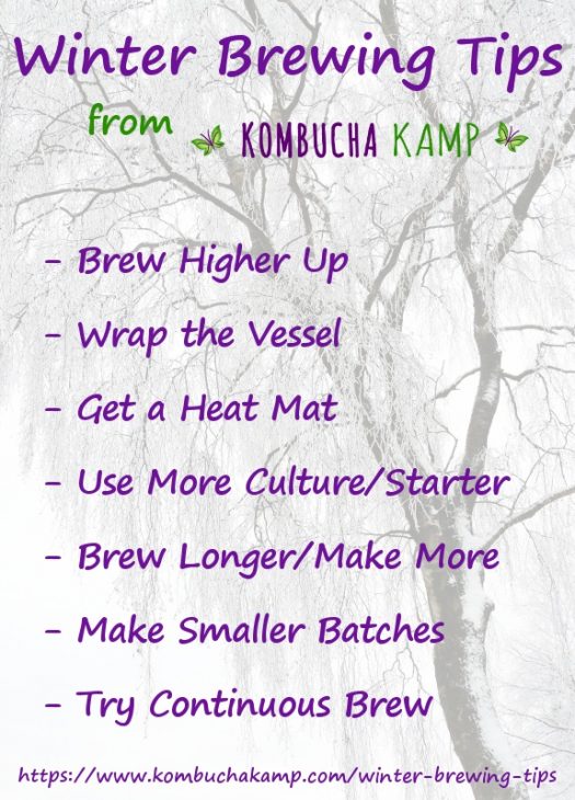 Top 7 Winter Brewing Tips from Kombucha Kamp