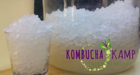 Kefirul de apă vs. Kombucha este o dezbatere dură 
