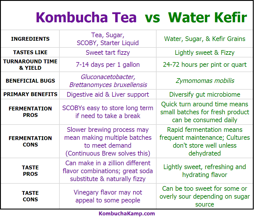 Water Kefir vs Kombucha Which is Better Chart for Comparison