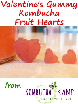 Heart Shaped Gummy Candies with Kombucha and Fruit