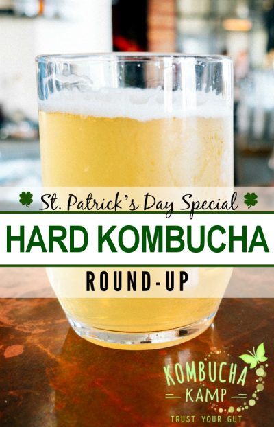 Hard Kombucha Brand Round Up from KKamp