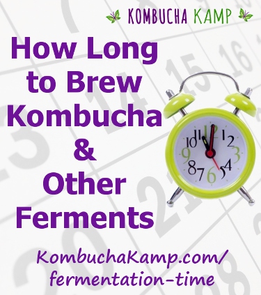 How Long to Brew Kombucha - Fermentation Time