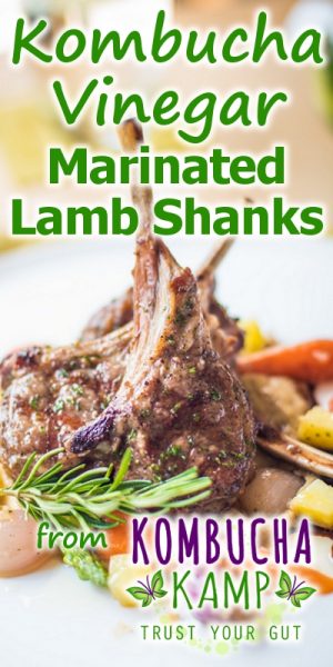 Kombucha Vinegar Marinade on Lamb Shanks Recipe