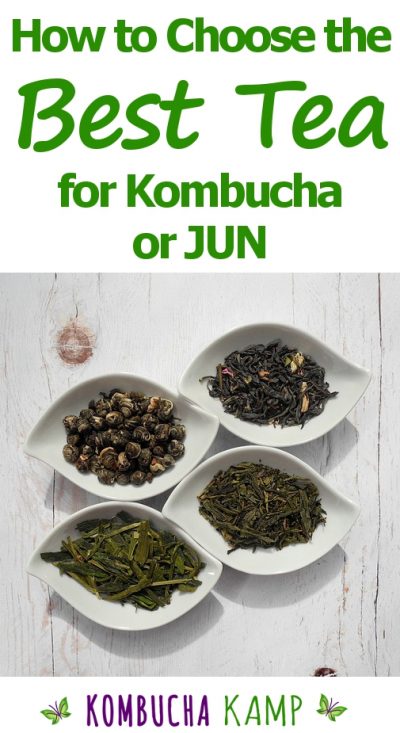 the best Tea Blend for Kombucha