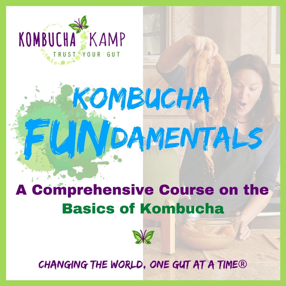 Kombucha Fundamentals Course Online