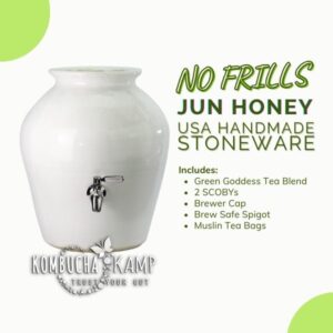 USA Handmade Stoneware Vessel Continuous Brew JUN No Frills Complete Package