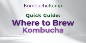 Where to Brew Kombucha