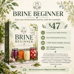 brine-beginner-new