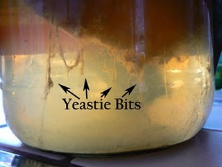 Too much yeast when bottling Kombucha, Jun or Kefir can hamper Kombucha carbonation.