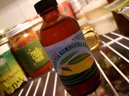 A bottle of Lev's Green Tea Kombucha Extract sits on a refrigerator shelf