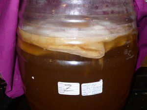A Large Jalisco of Kombucha brewed by Hannah Crum of Kombucha Kamp What is Kombucha but fermented tea! A Large Jalisco of Kombucha brewed by Hannah Crum of Kombucha Kamp