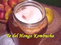 Kombucha Mushroom in Spanish