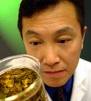 a man examines a kombucha mushroom jar