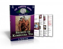 Secrets of Kombucha Tea + Guide by Hannah Crum 3D Find out 'What is Kombucha?' and more with this great free e-book and DIY Kombucha Making Guide