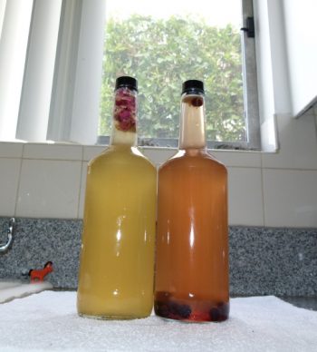 Bottled Kombucha