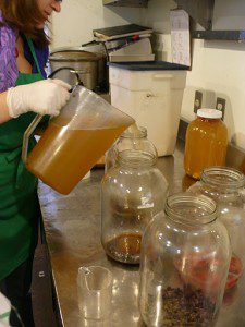 Hannah Crum, Master Kombucha Brewer for Leaf Organics - Second Fermenting