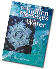hidden messages in water by masaru emoto