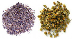 Summer Breeze Kombucha by Hannah's Homebrew - Lavender and Chamomile