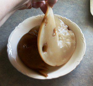 Kombucha SCOBY from Laurie Neverman