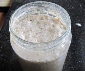 Yeast saved from ferments can be used to start a Kombucha sourdough!