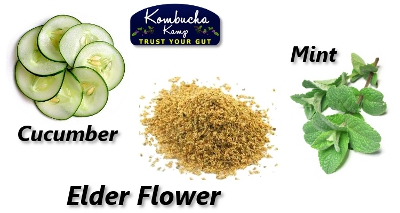 Elderflower Kombucha Recipe with Cucumber and Mint