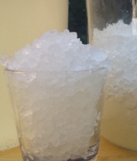 Water Kefir Grains