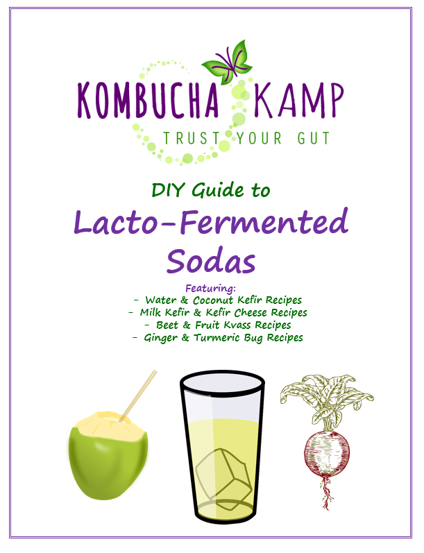 https://www.kombuchakamp.com/wp-content/uploads/2015/07/cover-of-lactofermented-sodas-guide1.png